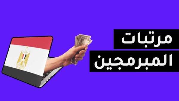 متوسط رواتب المبرمجين في مصر