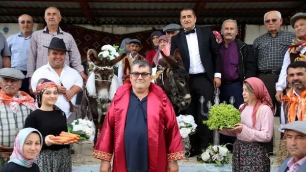 زواج حمارين في تركيا