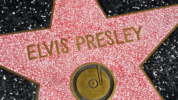 Elvis 