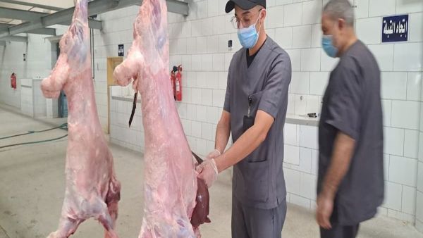 الإحساء تعلن عن تنظيم سوق الأنعام المركزي