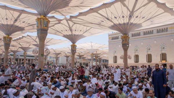 حجاج 