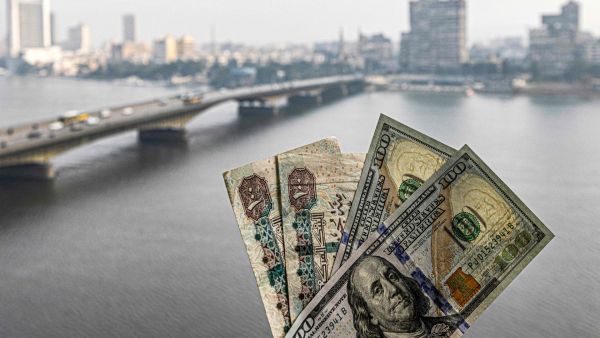 سعر الدولار اليوم في مصر