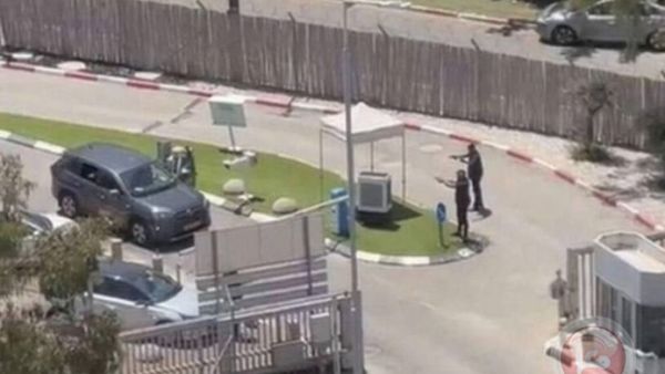 أثناء الحادث، أطلق حارس أمن النار في الهواء لمحاولة السيطرة على الوضع