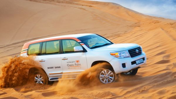 Oasis Palm Tourism presents a comprehensive range of activities that are fun and unforgettable. Oasis Palm Tourism presents a comprehensive range of activities that are fun and unforgettable.
