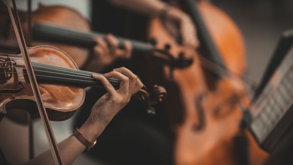 violinist 