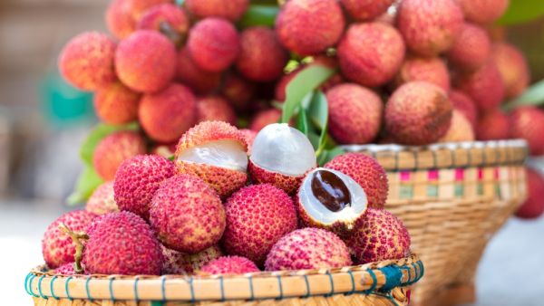 lychee seeds