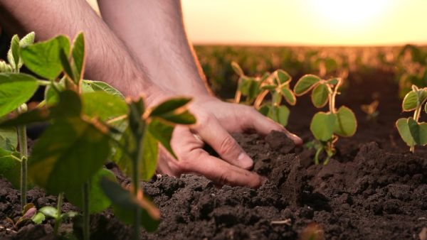 fertilizer company