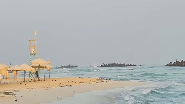 شواطئ اسكندرية