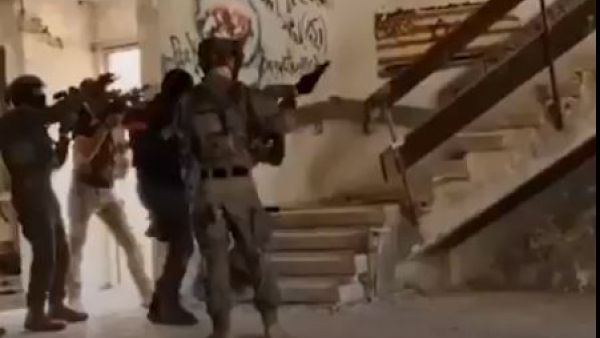 فأر