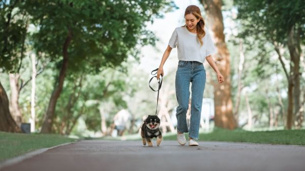 walking