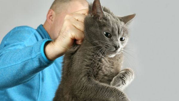 Egyptian man Abu Noah, who was nicknamed "cat slaughterer."