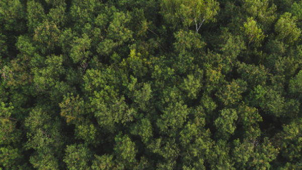 Samsung Electronics Releases 2024 Sustainability Report Samsung Electronics Releases 2024 Sustainability Report