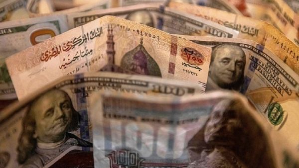 سعر الدولار اليوم في مصر