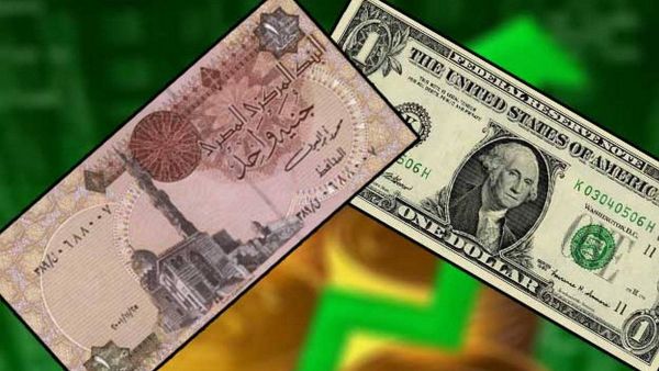 سعر الدولار اليوم في مصر