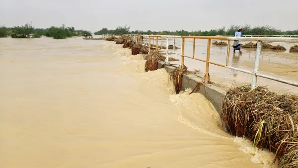 أرشيفية