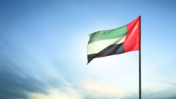 UAE real estate sector sees boost in Q2 2024, Dubai economy thriving