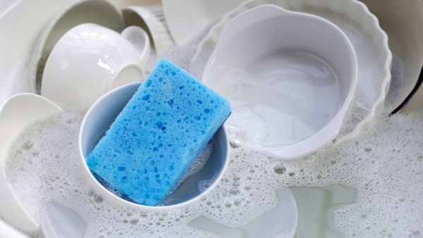 sponges