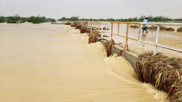 سيول / أرشيفية