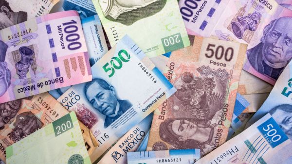 economic 