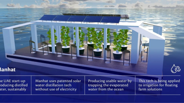 UAE transforms coastal areas into floating farms