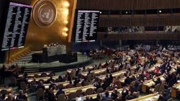 الجمعية العامة - فلسطين