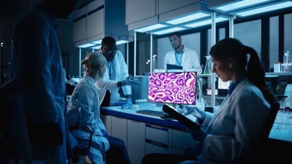 LG to Showcase Its Cutting-Edge Medical Display Solutions at Arab Health 2025