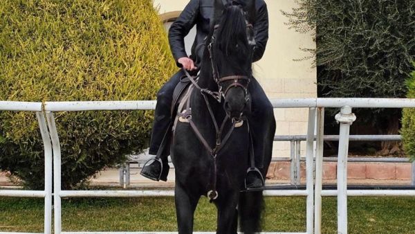 Ahmed Al-Sharaa’s horseback appearance sparks social media debate 