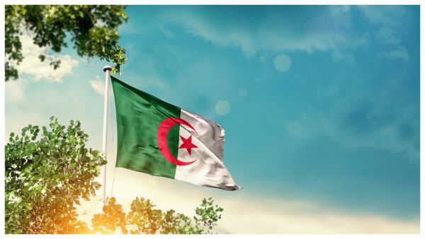الجزائر: قرض مصغر و17 ألف مستفيد خلال 2024,المصدر shutterstock