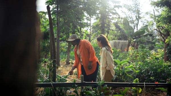 Kia Expands “Cycle of Life: Seeds of Change” Project from GCC to Africa