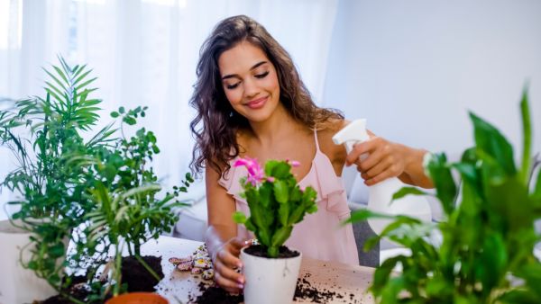طرق دمج النباتات الصناعية في التصميم الداخلي