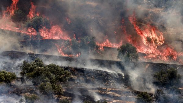 Israeli settlers launch major attack on Deir Dibwan, injuring 35 and causing widespread destruction