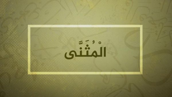 معنى اسم المثنى وصفاته