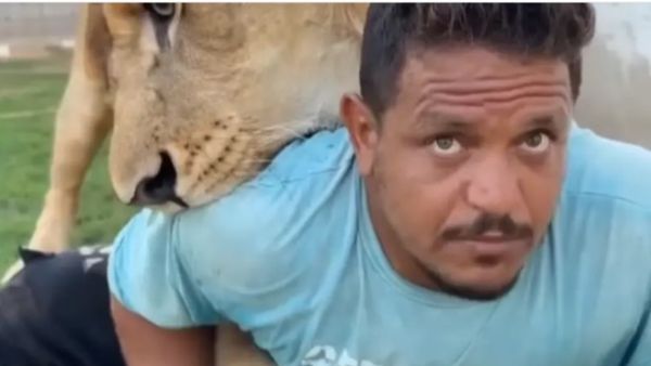 حبس ليبي أطلق أسده على أشخاص