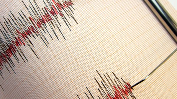 Seismograph and earthquake. A seismograph that records the seismic activity of an earthquake. 