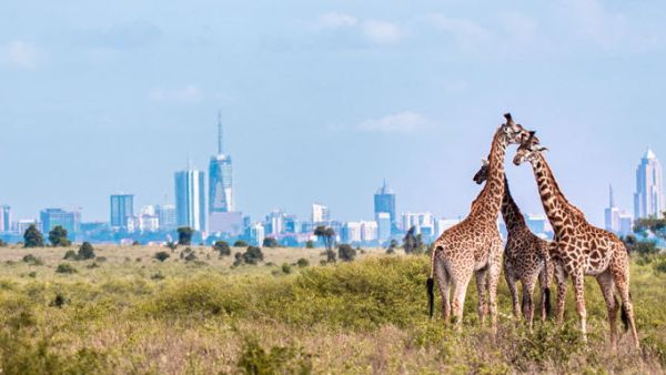 flydubai expands operations in Kenya with new flights to Nairobi and increased frequencies to Mombasa