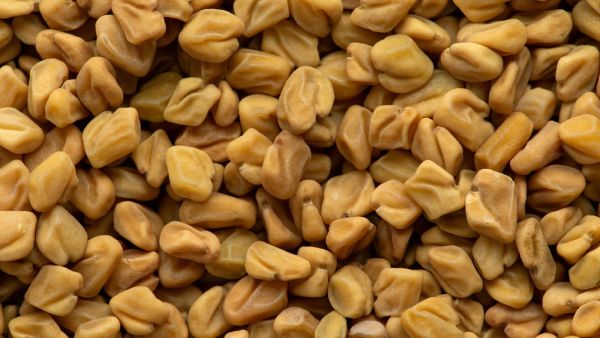 لن تصدقي ما تفعله الحلبة في جسمك