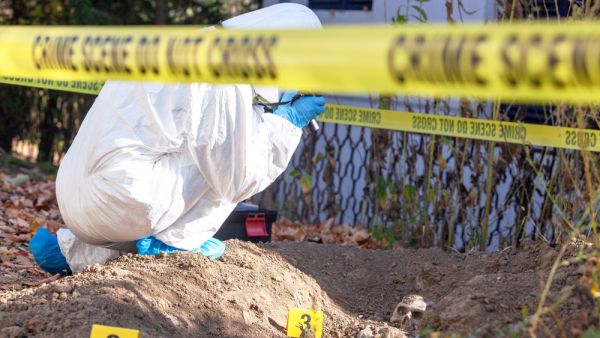 Chainsaw crime shakes Egypt