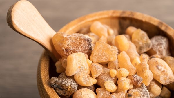 ماذا يحدث لجسمك عند تناول اللبان الذكر قبل النوم؟