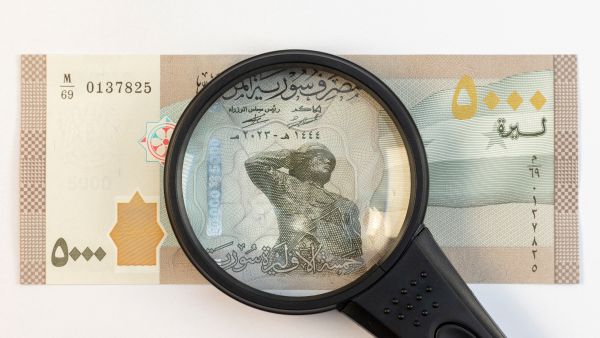الدعم الكبير من المغتربين ساهم في تعزيز الاستقرار المالي وتحريك سعر الصرف