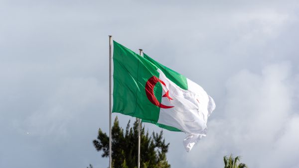 الجزائر تناقش قانونًا لتجريم الاستعمار الفرنسي