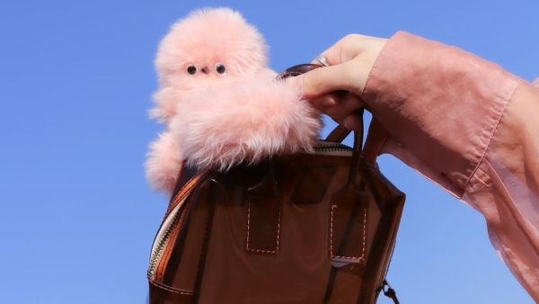 "ميرومي" بديل "لابوبو"… الروبوت العاطفي الذي يسيطر على موضة 2026