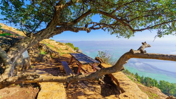 الأغوار الأردنية: وجهة مثالية للهدوء والمغامرة الشتوية