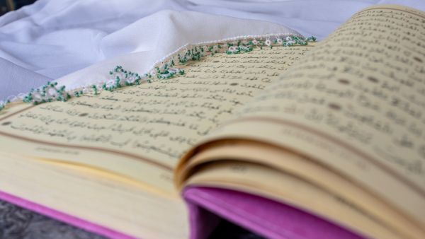 ماذا تستفيد من قراءة سورة البقرة؟