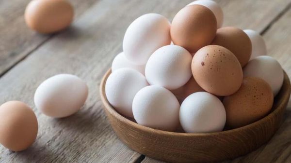 تفسير حلم جمع البيض الكثير من الأرض ابن سيرين