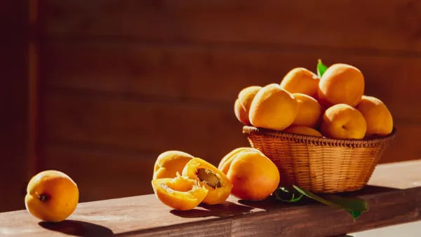 كم حبة مشمش يمكن تناولها يوميًا؟
