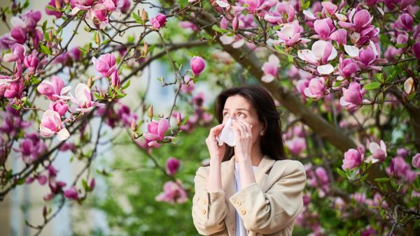 متى تنتهي حساسية الربيع؟