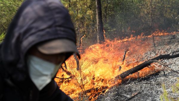 wildfire Algeria