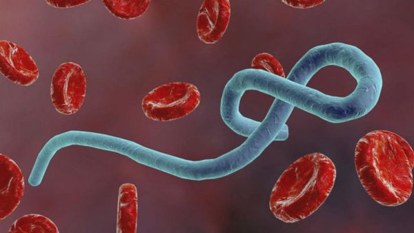 الكونغو الديمقراطية تسجل أكثر من 3 آلاف إصابة بإيبولا مع استمرار تفشي المرض في محافظة إيتوري.