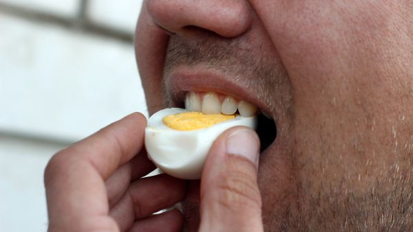فوائد تناول البيض يوميًا للرجال.. وهل هناك أضرار؟