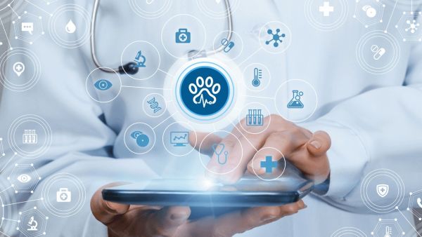 From Diagnosis to Treatment: Bupa CareConnect Advances Integrated Care as Digital Consultations Grow More Than Fivefold